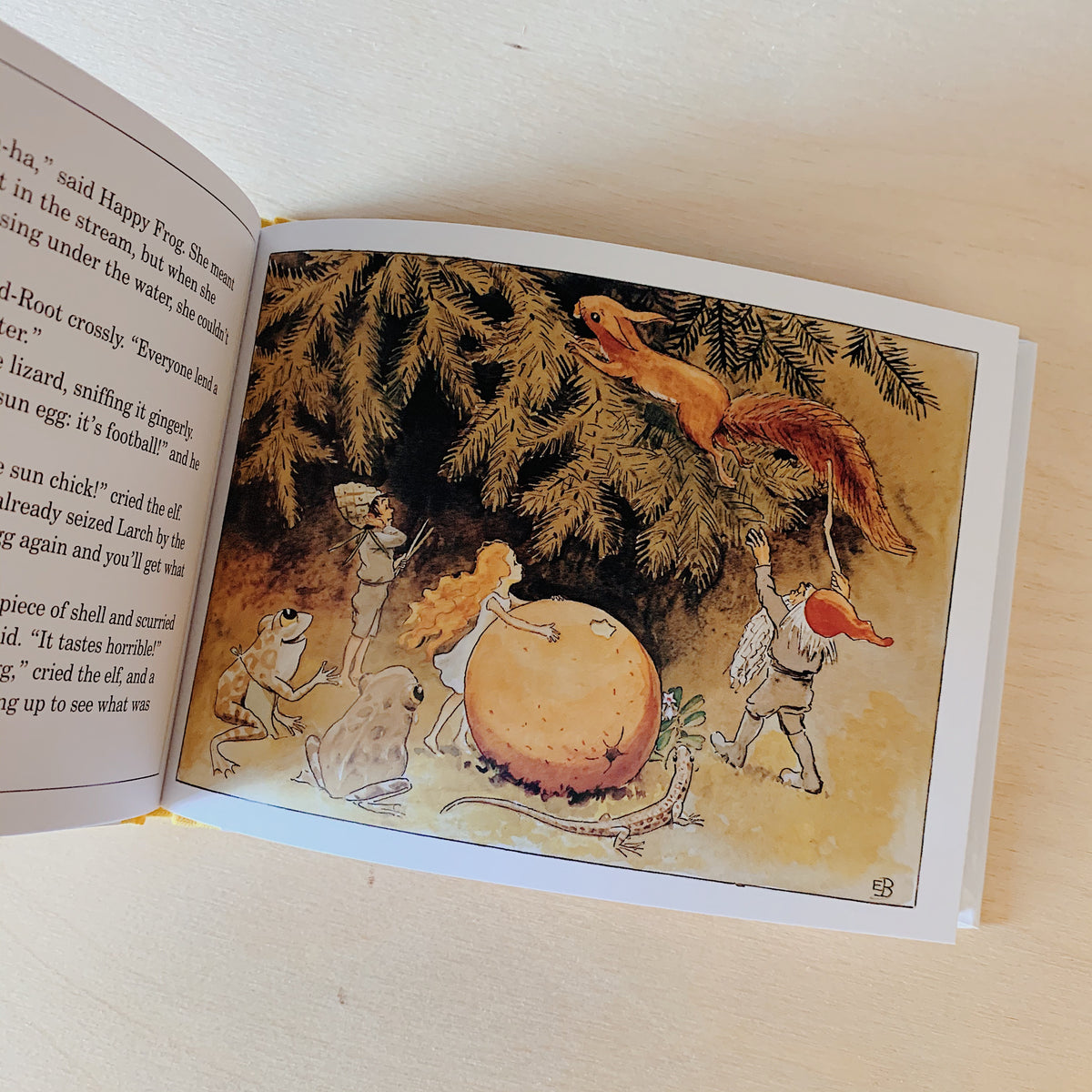 Interior illustration of an elf and woodland friends gathered around a large orange, with a squirrel in the branches above.

