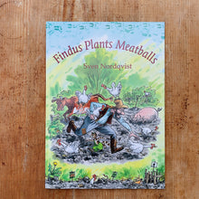 Load image into Gallery viewer, findus plants meatballs cover shot top view on wooden background
