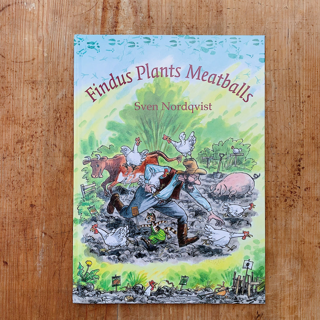 findus plants meatballs cover shot top view on wooden background