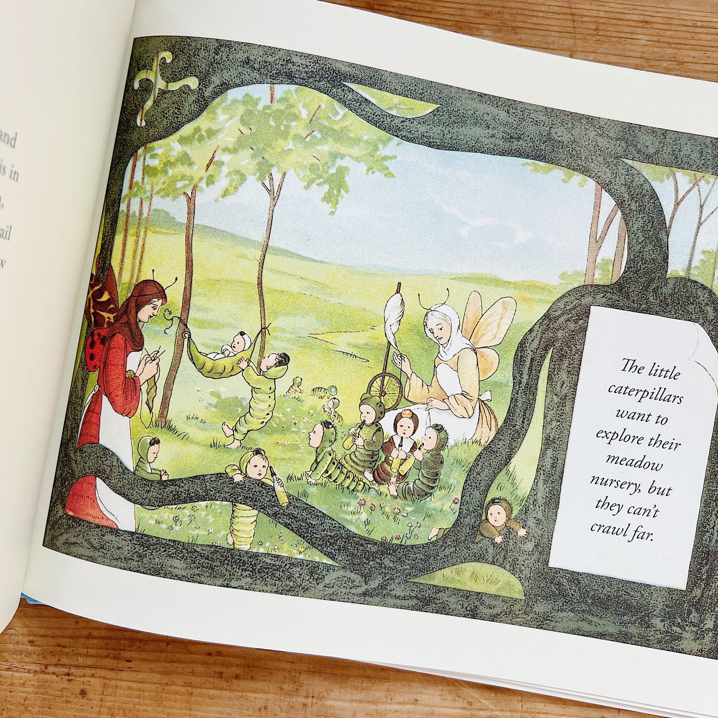 The Story of the Butterfly Children