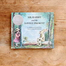 Load image into Gallery viewer, Mr. Rabbit and the Lovely Present
