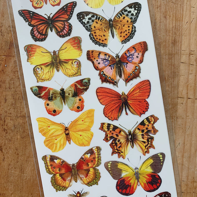 Overhead close up shot of realistic orange butterfly stickers