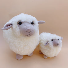 Load image into Gallery viewer, Jellycat | Rolbie Cream Sheep
