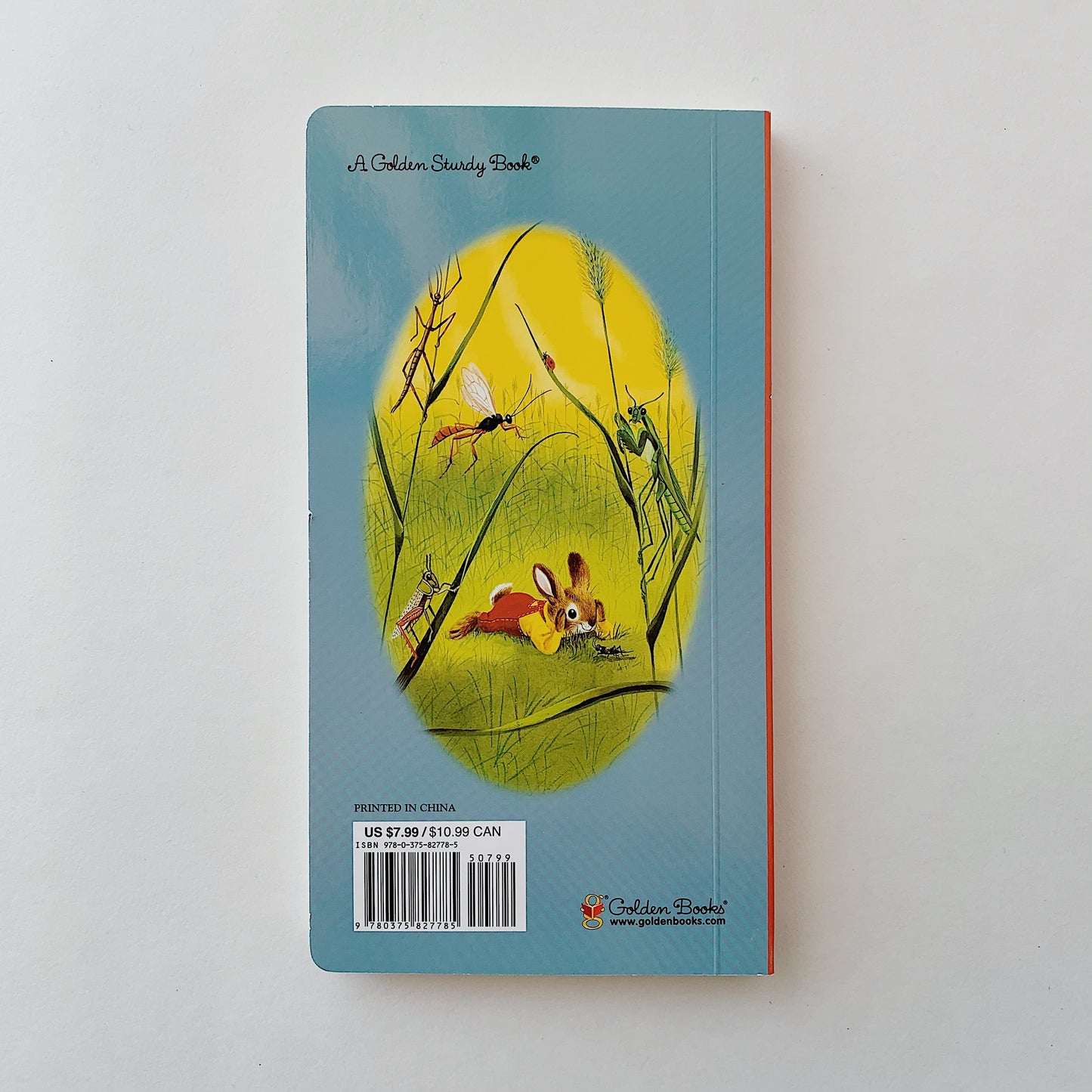 i am a bunny boardbook back cover laydown flat on white background straight shot