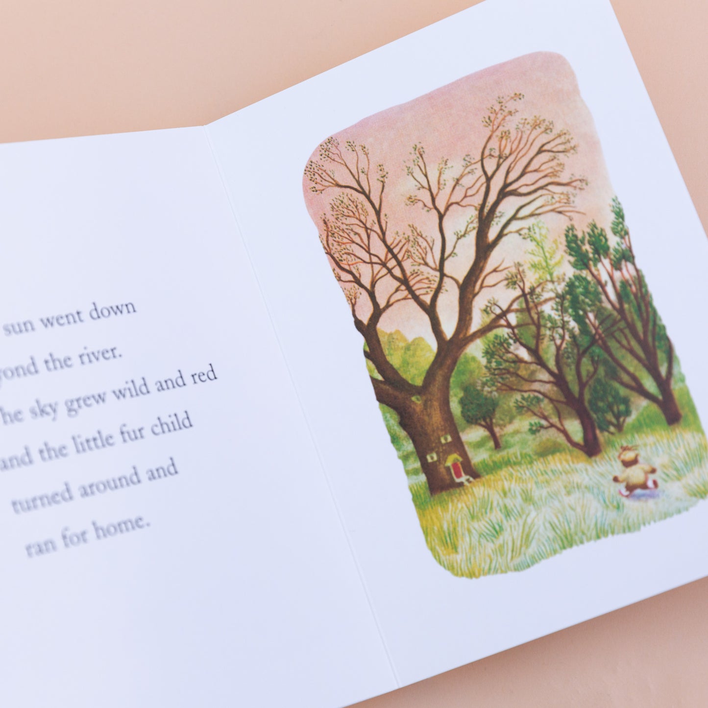 inside view of "Little Fur Family"