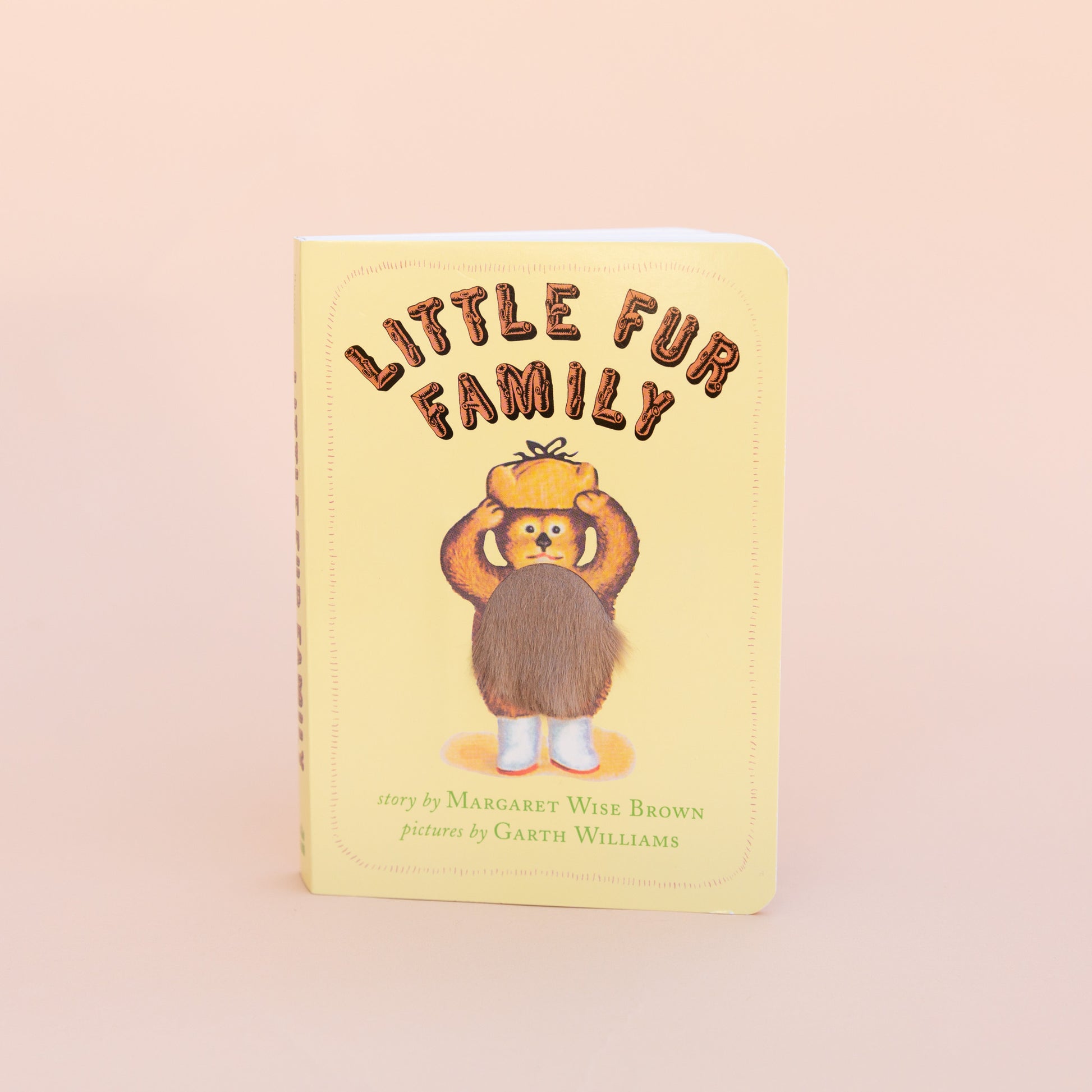 front cover of "Little Fur Family"
