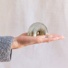 Load image into Gallery viewer, diagonal view of mini slinky toy in hand for scale
