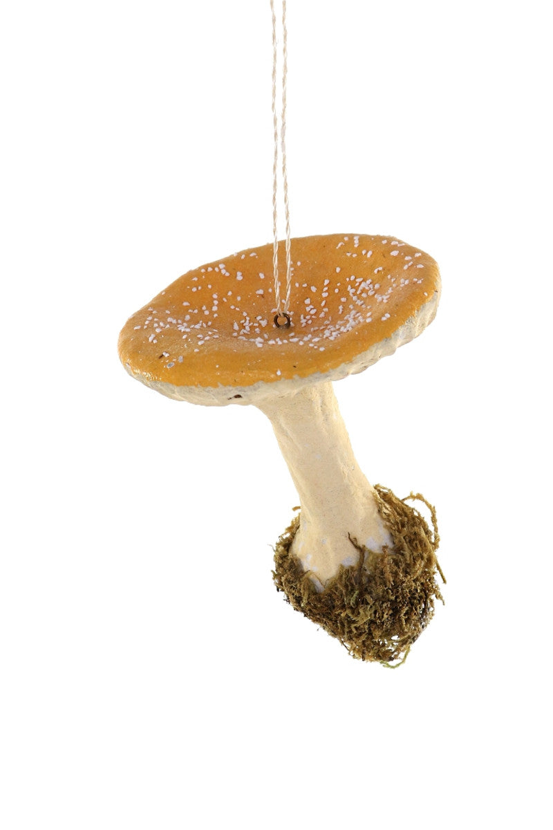 Yellow Cap Mushroom