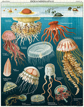 Load image into Gallery viewer, Cavallini | Jellyfish 1000 Piece Puzzle
