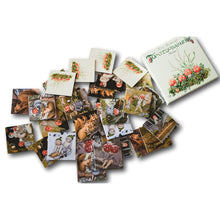 Load image into Gallery viewer, Elsa Beskow Children of the Forest Memory Game
