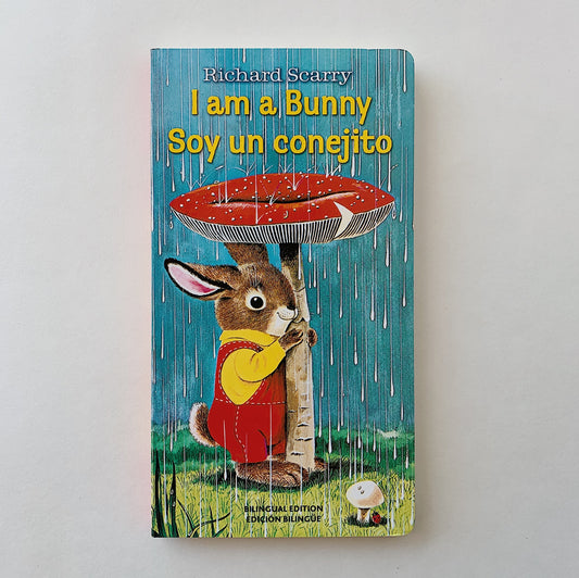 soy un conejito top view laydown on white background front cover