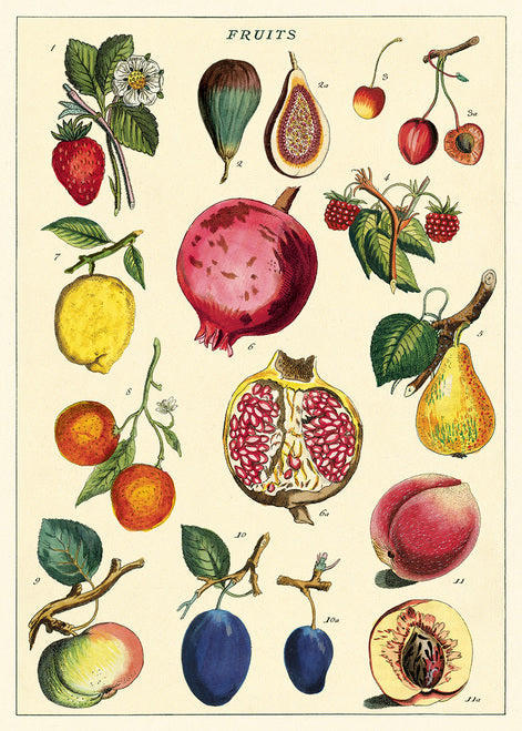 Cavallini | Fruits Print