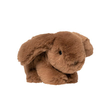Load image into Gallery viewer, Manhattan Toy | Basil Bunny
