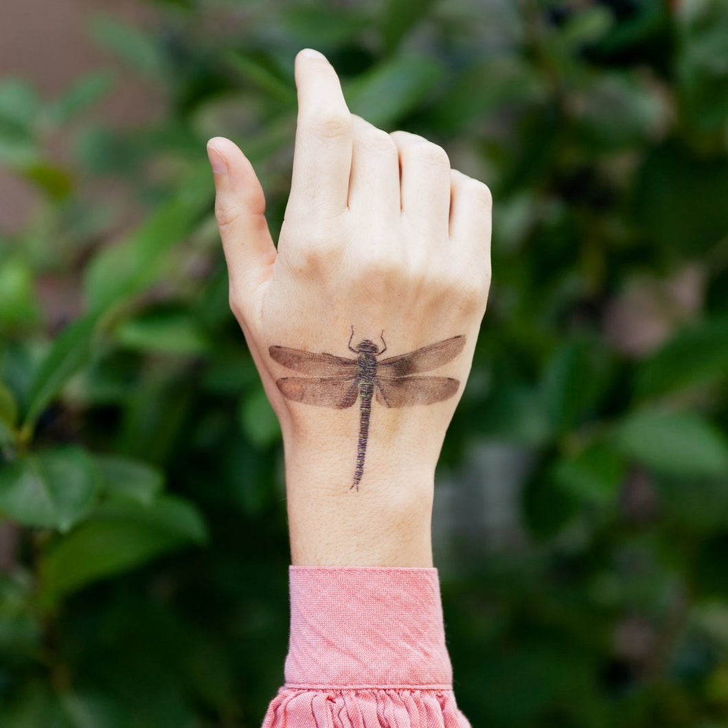 tattly dragonfly tattoo seen on model's hand